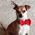 Silvina Martinez's profile image