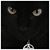 Megan Andersson's profile image