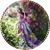 Cleesep Covet's profile image