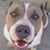 Monica Reyes's profile image