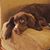 Donnie G. Graham's profile image