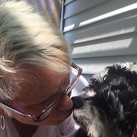 Lynn Hutch Downing's profile image