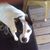 Tracey Raine Carrell's profile image
