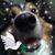 Mark Blaha's profile image