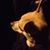 Janette Bird's profile image