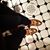 Anne Zerbe's profile image