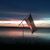Jason Johnson's profile image