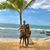 Brianda Mendoza Thorpe's profile image