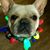 Garrett Wriston's profile image