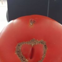 Michele Schablow's profile image