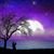 Sonya Salcido's profile image
