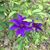 Melinda Jean Caldwell's profile image