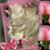 Wendelin Toboz's profile image