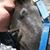 Heather Vandiver's profile image