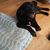 Amy Tobia's profile image
