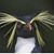 Kareen Cooper's profile image