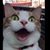 Scott Oswald's profile image