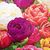 Patricia Thomas's profile image