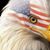 Keith Reutter's profile image