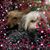 Kathy Fuller's profile image