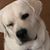 Gracie Doerter's profile image