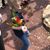 Jill Anderson-Bloch's profile image