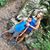Judy Castrejon's profile image