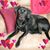 Pamela Wilson's profile image