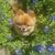 Liz McCubbin Stanley's profile image