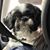 McKenna Marie's profile image