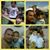 Tito Jose Bolivar's profile image