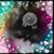Michelle Whitefield's profile image