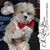 Dolores Gingras's profile image