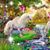 Jane Moss's profile image