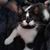 Donna Kondro's profile image