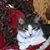 Barb Jones Elliott's profile image