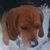 Kelly Ott Croft's profile image