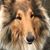 Jay Ruthven's profile image