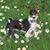 Tamitha Neargarth's profile image