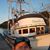 Colver Sonnentag's profile image