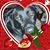 Cheryl Bento-Atkins's profile image