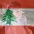 Carine Souaiby El Haj's profile image