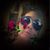 Debbie Sides Lejeune's profile image