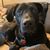 Kathy Myers's profile image