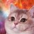 Eric Weldon's profile image