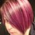Shawn Albright Alfaro's profile image