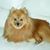 Marcia Tritsch's profile image