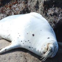 Natalie Lopez's profile image