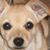 Lynn Buck's profile image