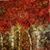Renee Harmon Huffstetler's profile image